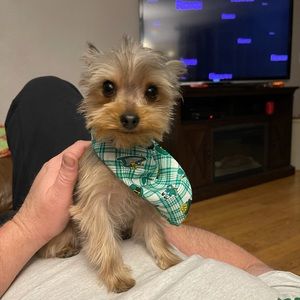 Meet your Posher, Nichole